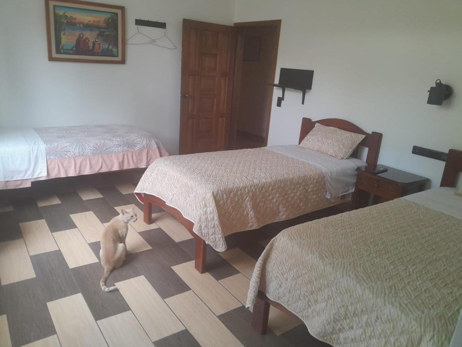 Hostal Limoncocha Tena Dış mekan fotoğraf