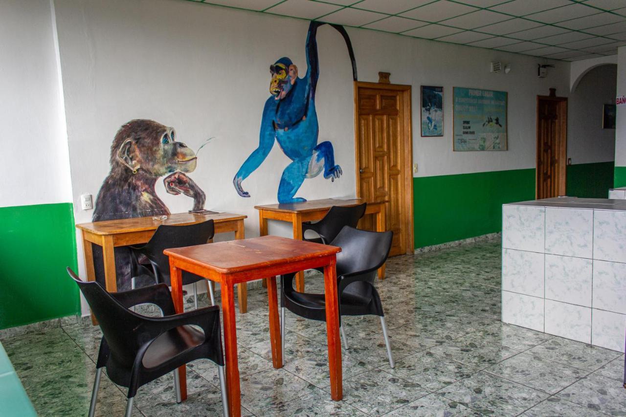 Hostal Limoncocha Tena Dış mekan fotoğraf